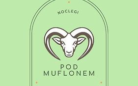 Noclegi Pod Muflonem